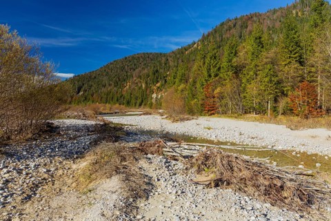 Isar valley nature conservancy area. The wild Isar river flows through its gravel bed past