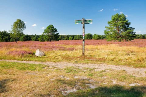 Ancient and modern signpost on the edge of the blooming Lüneburg Heath, Lower Saxony, Germany,