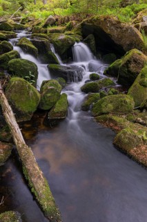 Kleine Ohe creek below Waldhaeuser village in the Bavarian Forest Nationalpark. Flowing water,