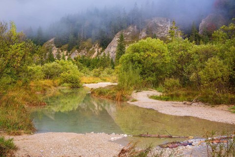 Isar valley nature conservancy area. The wild Isar river flows through its gravel bed past