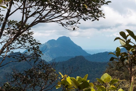 High mountain and cloudy sky in the jungle. Malaysia