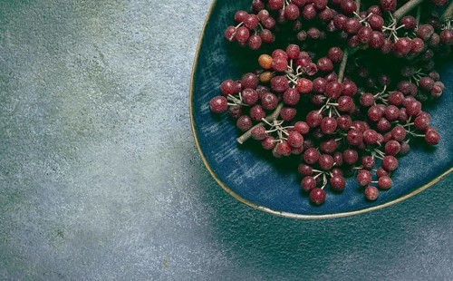 Shtoshi berry, Shepherd's pie, a hybrid of sea buckthorn and barberry, top view, no people