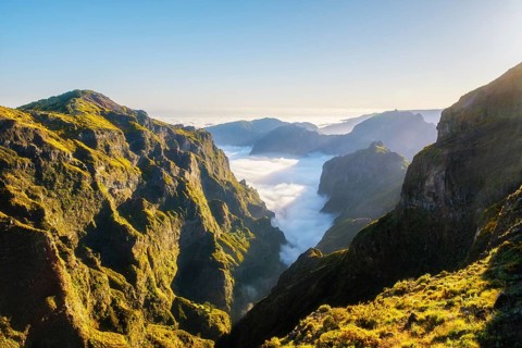 Aerial view at Pico do Arieiro of mountains over clouds with blooming Cytisus shrubs on sunset with