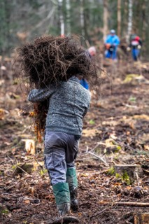 Reforestation in the Arnsberg forest near Rüthen-Nettelstädt, district of Soest, forestry workers