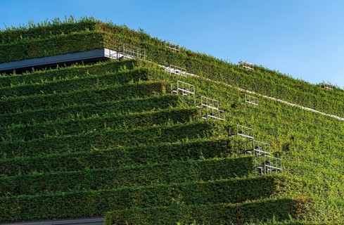 Largest green façade in Europe, on the Kö-Bogen II, building, shopping and office building on