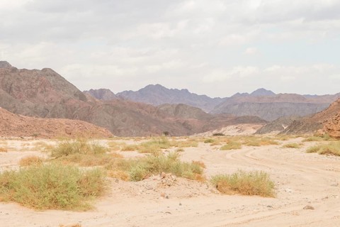 Desert, red mountains, rocks and cloudy sky. Egypt, the Sinai Peninsula, Dahab