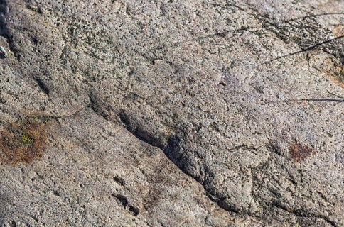 Texture of a boulder with moss and lichen