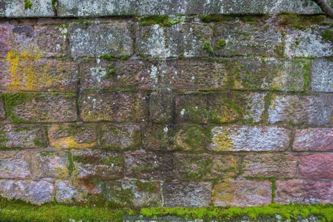 Natural stone wall with mosses and lichens, Rhineland-Palatinate, Germany, Europe