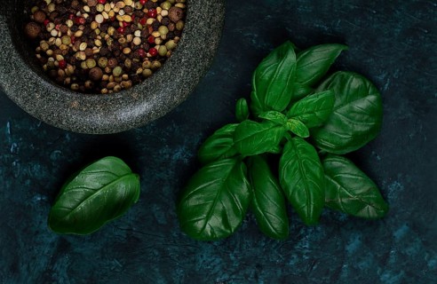 Mix of peppercorns, in a mortar for spices, oregano leaves, concept, on a dark green background,