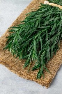 Fresh Tarragon, bunch, top view, close-up, no people