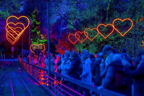 Parkleuchten, event in winter, in the Grugapark in Essen, many different light installations,