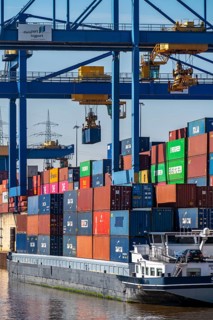 Container cargo ship in the harbour basin of the Logport, gantry cranes in the Container Handling