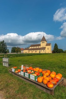 Oberzell, Reichenau Island, St. George's Parish Church, UNESCO World Heritage Site, pumpkin sale,