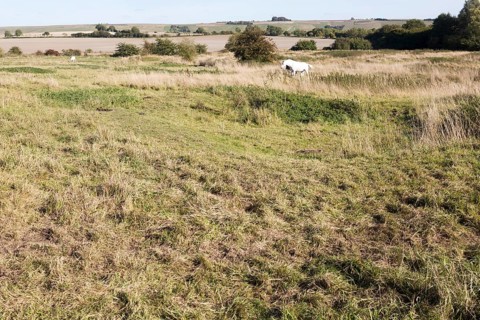Richardson deserted medieval village, Berwick Bassett, Wiltshire, England, UK