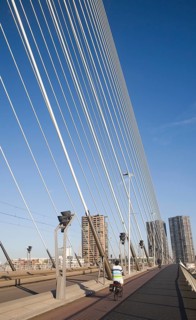 Erasmus Bridge, Erasmusbrug, spanning the River Maas designed by architect Ben van Berkel completed