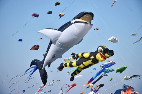 Kite festival, flying kites on Schönberg beach, Schleswig-Holstein, Germany, Europe
