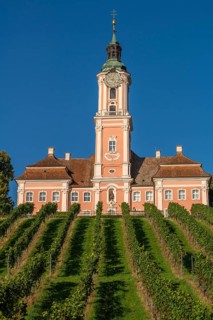 Viticulture, Birnau pilgrimage church, Uhldingen-Mühlhofen, Lake Constance, Baden-Württemberg,