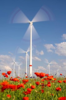 Wind farm, field with flower strips, insect-friendly border of fields with mixed flowers, poppies,