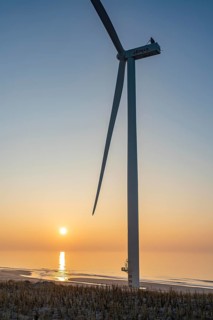 ENECO wind farm on the dike around the harbour Maasvlakte 2, 22 wind turbines with a capacity of