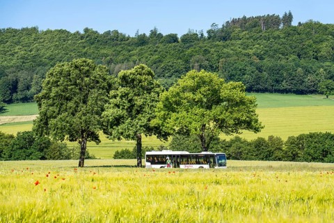 Country road between Hirschberg and Warstein, local bus, public transport, bus transport,