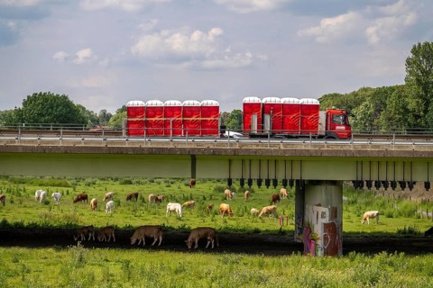 Lorry on the A40 motorway, bridge over the Ruhr and Styrumer Ruhrauen, herd of cattle, dairy cows