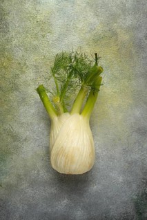 Fennel, bulb, dill root, fresh, top view