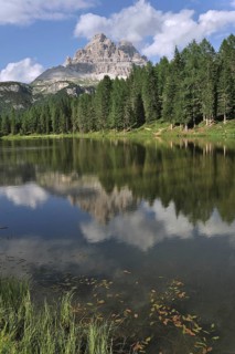 Reflections of pine trees and mountain peak in the lake Lago d'Antorno near Misurina in the