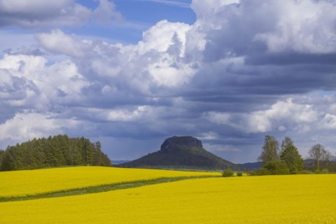 The Lilienstein is the most famous striking rock formation in Saxon Switzerland, Struppen, Saxony,