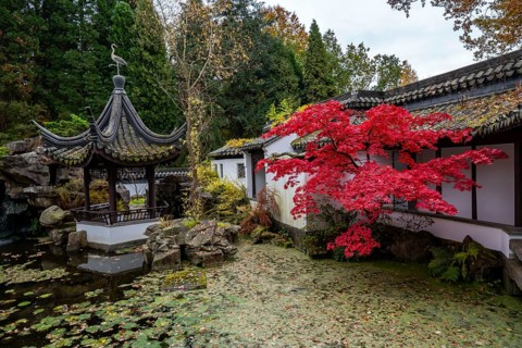 The Botanical Garden of the Ruhr-University Bochum, in the district Bochum-Querenburg, North