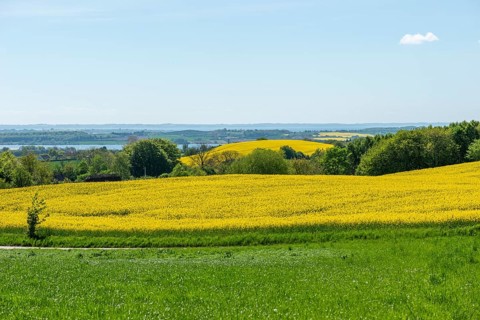 Agriculture in hilly moraine landscape, South Funen, Denmark, Fy, Funen, Denmark, Europe