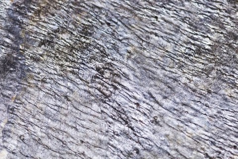 The texture of natural stone, sandstone, limestone, granite
