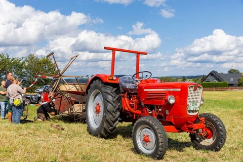 The Cunnersdorf village association presented historical harvesting techniques in agriculture,