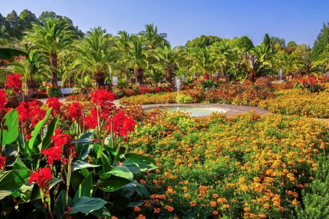 Palm garden in the historic spa gardens, the largest outdoor palm garden north of the Alps, Bad