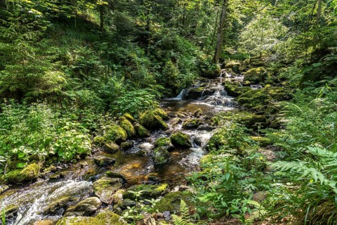 In the Ravenna Gorge near Breitnau, Black Forest, Baden-Württemberg, Germany, Europe