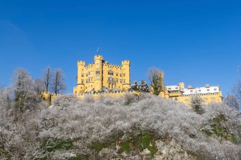 An imposing yellow castle sits on a snow-covered hill in front of an azure blue sky, Hohenschwangau
