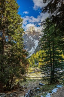 Mountain peak of the Sella Group Mountain landscape in the Alps through a dense forest with snow,