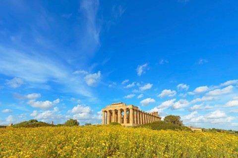 Temple of Hera or Temple E, Selinunte Archaeological Park, Selinunte, Trapani district, Sicily,
