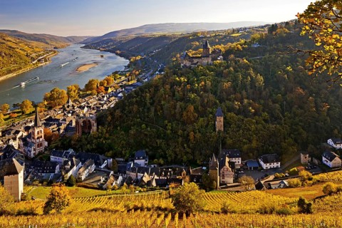 View of Bacharach and the Rhine in autumn, UNESCO World Heritage Upper Middle Rhine Valley,