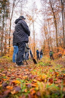 People at work with shovels in autumn forest, tree planting campaign, Waldbike Calw, district of
