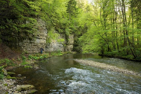 Hiking trail by the river, Wutach Gorge, Bonndorf, Baden-Württemberg, Black Forest, Germany, Europe