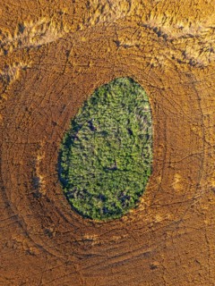 Aerial view, drone photo: Grass growing in a shallow ice hole from the ice age, surrounded by a