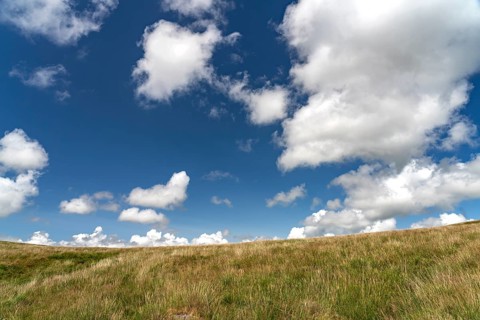 Landscape in Dartmoor, Devon, England, Great Britain