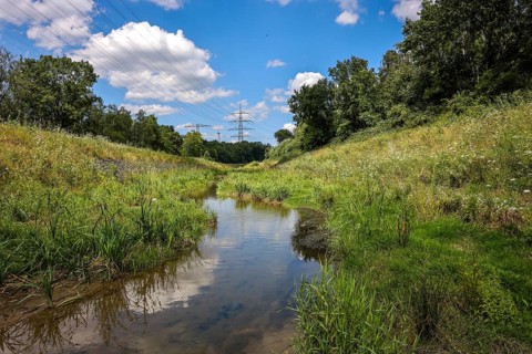 Bottrop, North Rhine-Westphalia, Germany, Renaturalised Boye, the tributary of the Emscher, has
