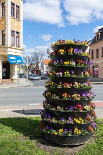 Planting with pansies (viola) in a cascade flowerpot at the intersection of Dresdner Straße and