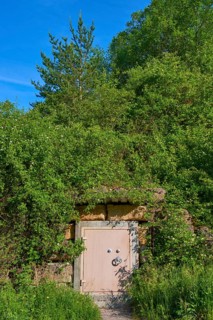 Combination lock safe with stone frame in the middle of dense forest vegetation under a clear sky,