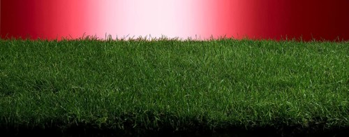 Turf in front of a red background, studio shot