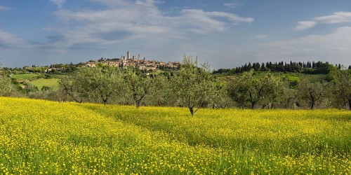 San Gimignano, Tuscany, Italy, Europe