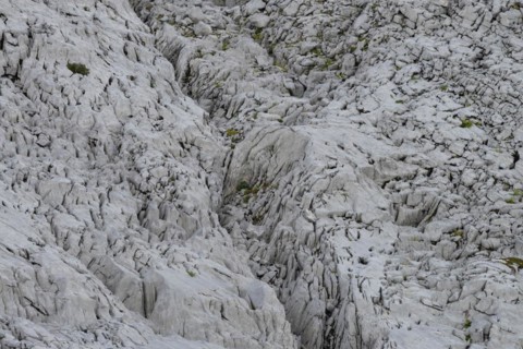 Gottesacker plateau, karst landscape, Kleinwalsertal, Vorarlberg, Allgäu Alps, Austria, Europe