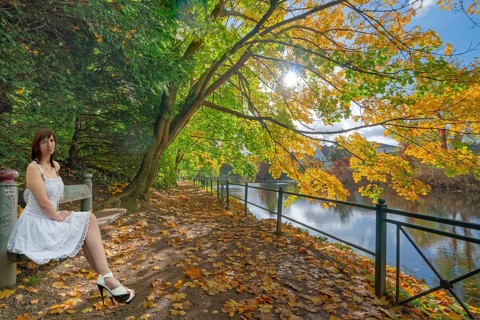 Autumn at the flower wall with model on bench in Rinteln Germany