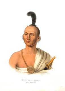 American Indian, Native American, Kai-Pol-E-Quah, a chief of the White Nosed Fox, United States of